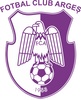 FC ARGES PITESTI Team Logo